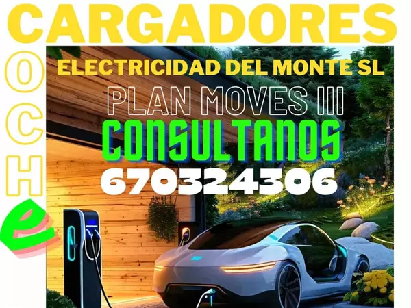 CARGADOR COCHE ELÉCTRICO