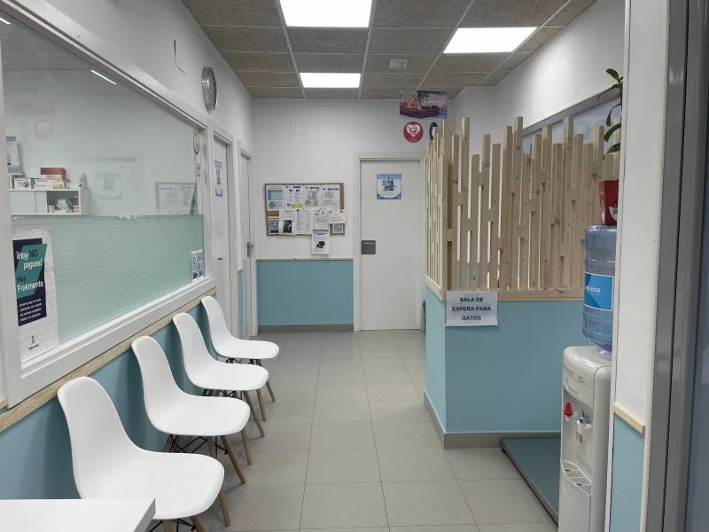 Tratamientos veterinarios en Boadilla