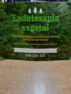 ENDOTERAPIA VEGETAL