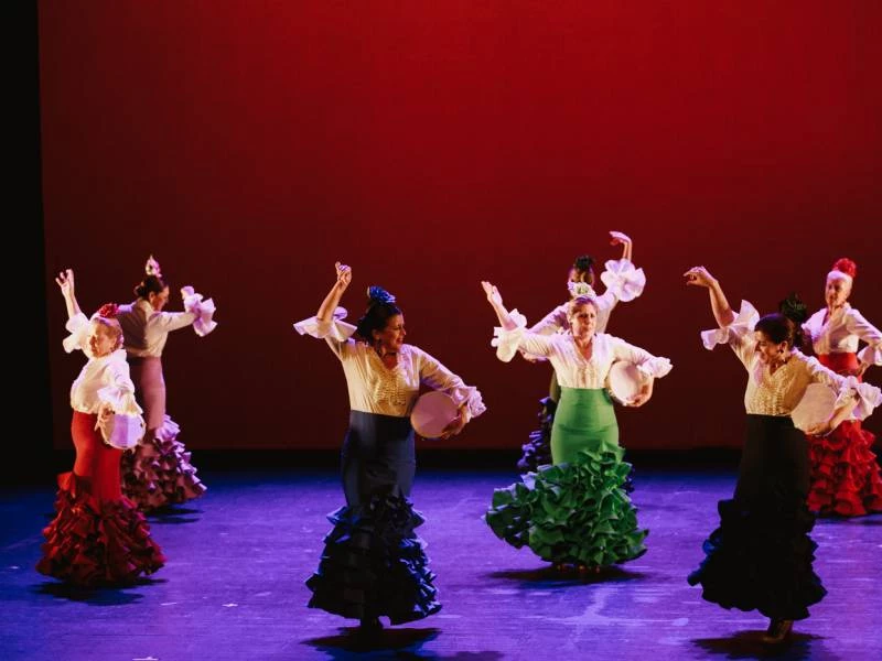 Aprende flamenco