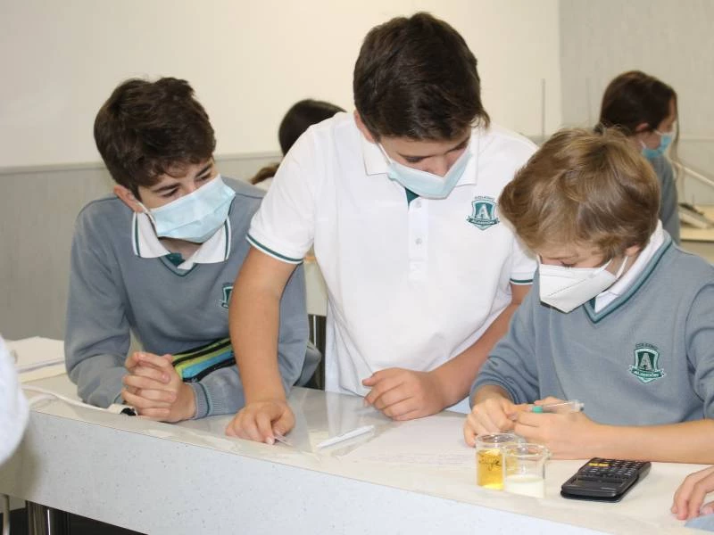 Infantil, Primaria, Secundaria, Bachillerato