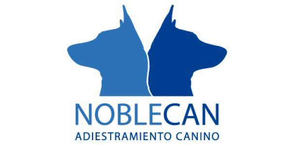 logo NUWA CENTRO HOLÍSTICO