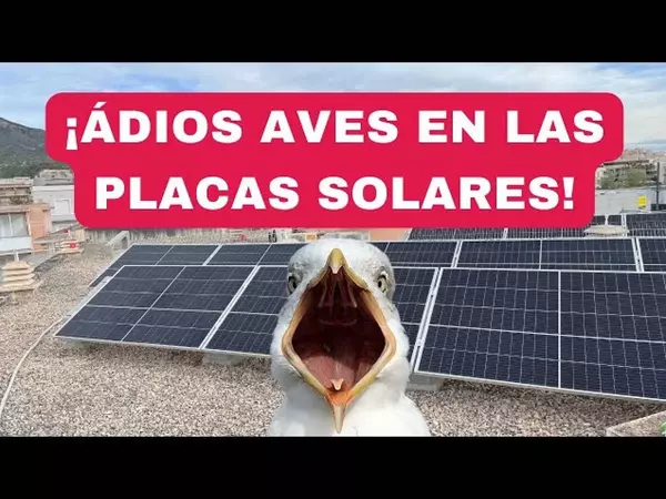 REJILLA ANTIAVES EN PLACAS SOLARES *699€ 