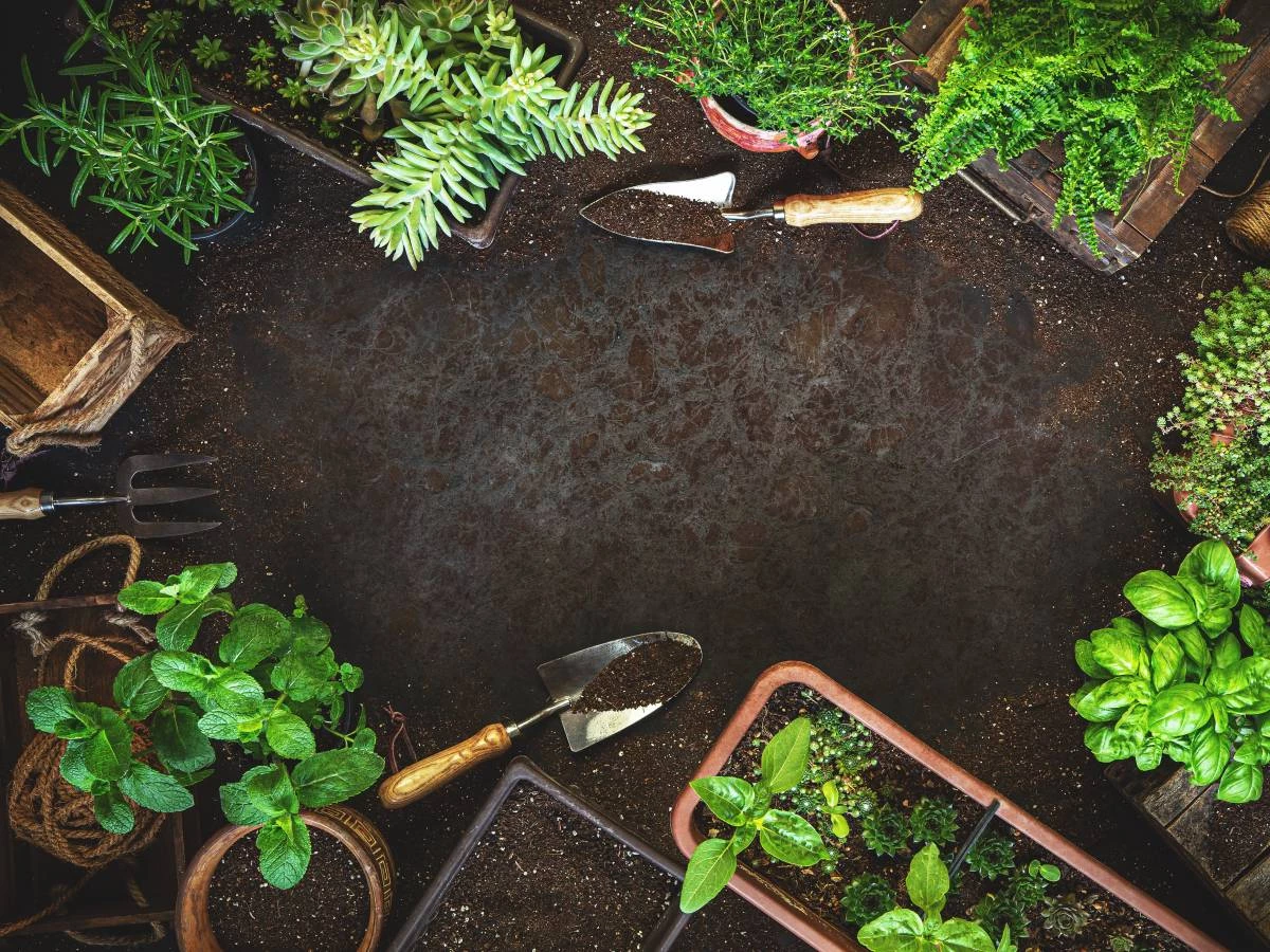 JARDINERÍA ARCE