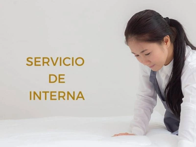 Servicios de interna en Las Rozas