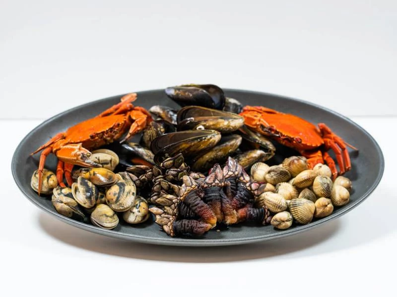 Berberechos, Almejas, mejillones