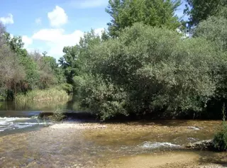 El Canal de Isabel II se encargará de gestionar todo el ciclo del agua en Las Rozas para mejorar la red