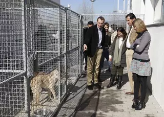El Centro de Atención Animal ya ha gestionado la adopción de más de 200 mascotas