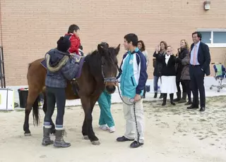 Alumnos con discapacidad del colegio Monte Abantos de Las Rozas reciben terapia con caballos
