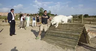 El Ayuntamiento de Las Rozas estrena el nuevo Parque Canino del Cantizal
