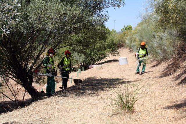 El Ayuntamiento ha desbrozado más de 200 hectáreas para prevenir incendios en verano