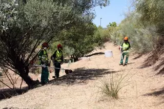 El Ayuntamiento ha desbrozado más de 200 hectáreas para prevenir incendios en verano