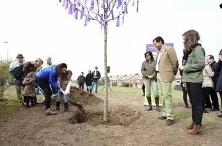 Las Rozas, contra la violencia de género