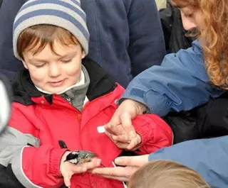 La asociación Salvemos El Garzo funda una estación para el anillamiento de aves en Las Rozas