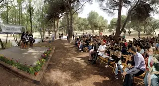 Cuatro centros educativos de Las Rozas reciben la Bandera Verde por su compromiso con el entorno