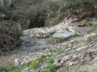 El PSOE denuncia a Confederación Hidrográfica del Tajo, nuevos vertidos fecales en Monterrozas
