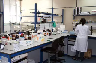 El laboratorio municipal garantiza la calidad del agua de las piscinas públicas y privadas de Las Rozas