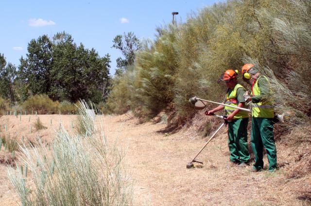 El Ayuntamiento de Las Rozas incrementa un 25% la superficie desbrozada para prevenir incendios