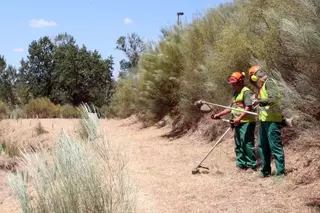 El Ayuntamiento de Las Rozas incrementa un 25% la superficie desbrozada para prevenir incendios