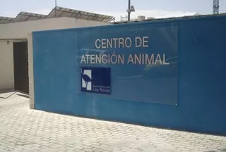 IU-LV propone gestionar el Centro Municipal de Atención Animal en colaboración con asociaciones protectoras