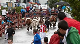 Las Fiestas de San Miguel llegan a su ecuador con gran afluencia de vecinos y visitantes