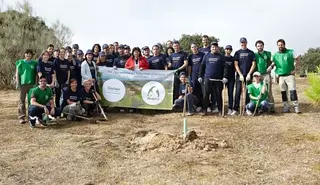Voluntarios de Telefónica plantan más de 500 árboles en una zona verde de Las Rozas