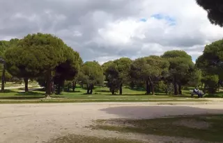 La Dehesa de Navalcarbón se pone en forma