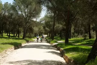 Los vecinos de Las Rozas ya disfrutan de las mejoras de la “nueva” Dehesa de Navalcarbón