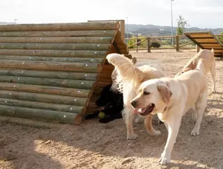 Las Rozas se prepara para la campaña anual de vacunación e identificación de animales domésticos