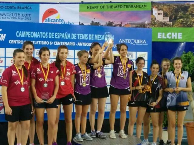 Éxito sin precedentes del Club de Tenis Noroeste Las Rozas en el Campeonato de España de 2014