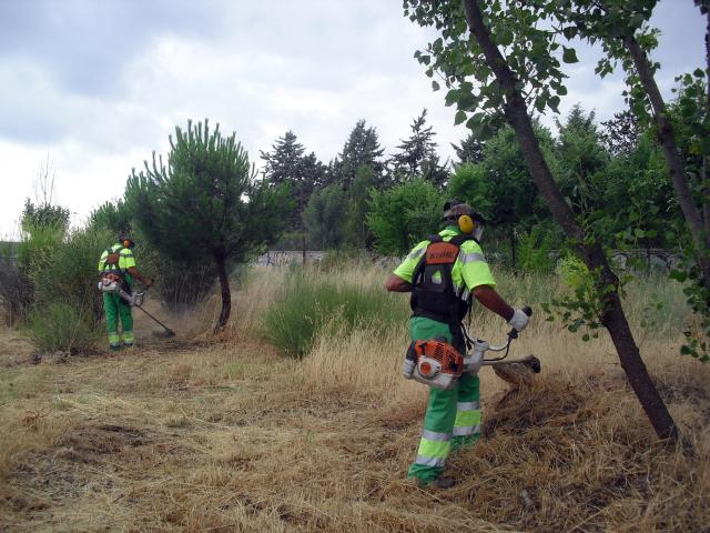 El Ayuntamiento desbroza más de 300 hectáreas del municipio para prevenir incendios