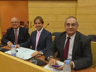 UPyD ha visto rechazado el paquete de medidas sobre regeneración democrática