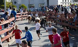 Las fiestas de Las Rozas entran en su recta final