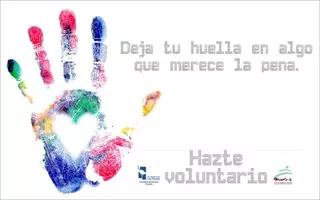 Actividades y talleres para celebrar el Día Internacional del Voluntariado en Las Rozas