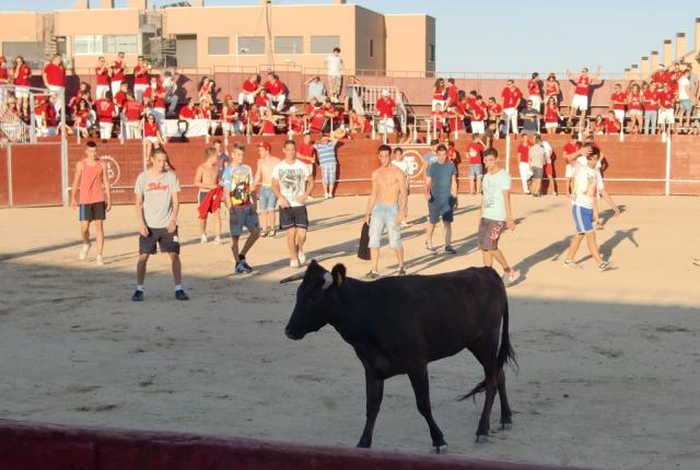 Suspendidos los eventos taurinos de las fiestas de Las Rozas