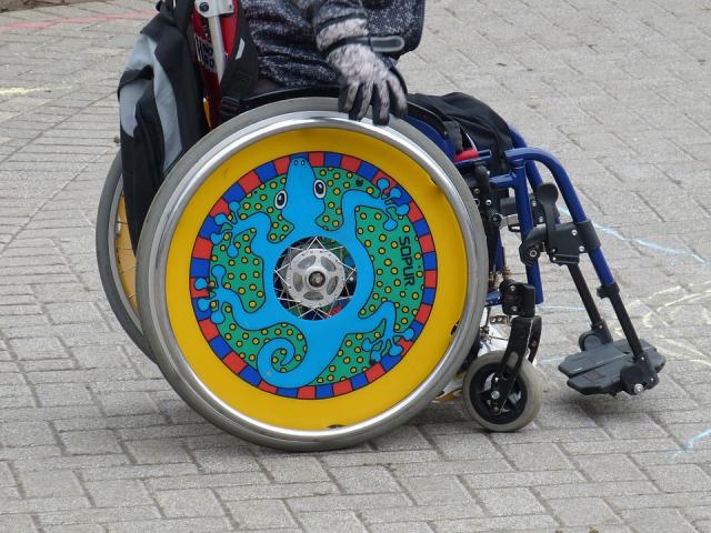 Ciudadanos Las Rozas presentará una moción para adecuar los parques públicos a personas con necesidades especiales