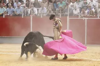 Tres tardes de toros en las fiestas de Las Matas costarán más de 80.000 euros