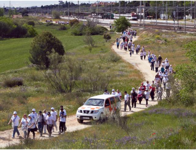 Más de 1.500 mayores de toda la región participarán en una marcha popular para celebrar la “Ciudad Europea del Deporte”