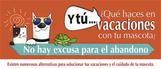 El Ayuntamiento de Las Rozas pone en marcha una campaña contra el abandono de mascotas en verano