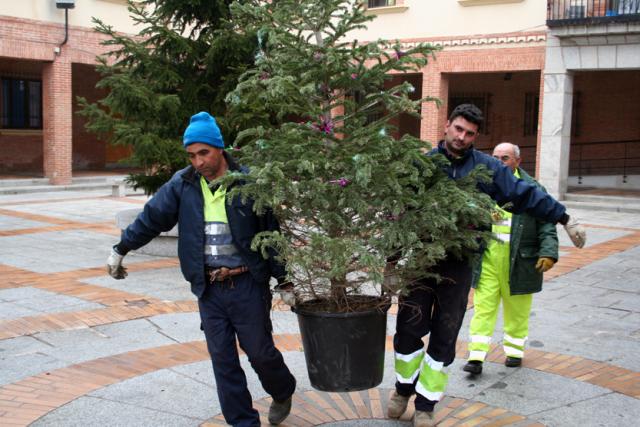 Todo listo para la campaña de recogida de árboles de navidad