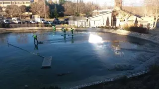 Finalizan las labores de vaciado y limpieza de los lagos del parque París