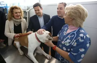 Las Rozas, municipio pionero en aplicar el “sacrificio cero” de animales, ley regional que entra en vigor hoy