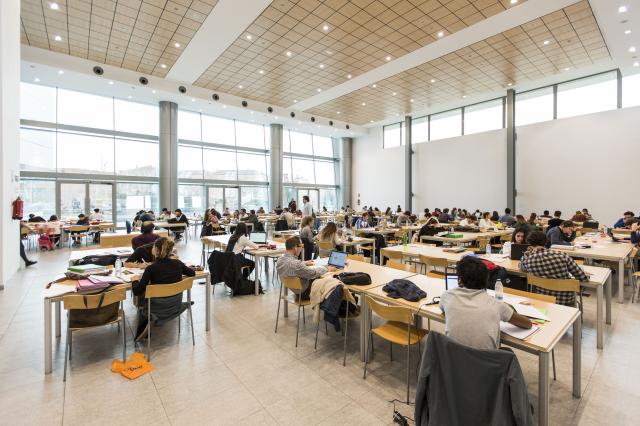 Casi 24.500 estudiantes llenan las bibliotecas de Las Rozas en la apertura extraordinaria para los exámenes de febrero