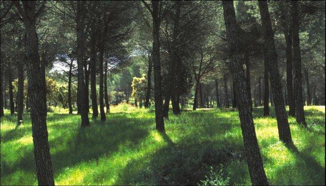 La Comunidad dedica 2,6 millones a la conservación del Parque Regional del Curso Medio del Río Guadarrama y su entorno