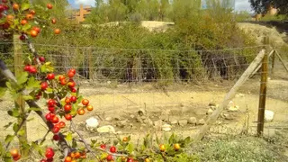 Aprobada la propuesta de Contigo para mejorar el enclave natural de la Retorna de Las Rozas