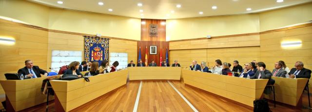 El Pleno aprueba por unanimidad solicitar una oficina de tramitación del DNI para Las Rozas