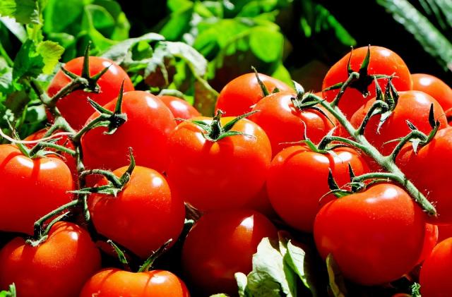 Las Rozas será el primer municipio europeo 100% vegetariano