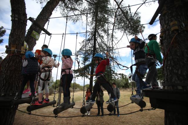 Comienza la preinscripción para los campamentos de verano organizados por el Ayuntamiento de Las Rozas