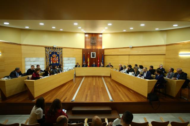 El Pleno de Las Rozas aprueba por unanimidad una moción para la gestión de las colonias felinas callejeras 
