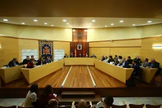 El Pleno de Las Rozas aprueba por unanimidad una moción para la gestión de las colonias felinas callejeras 
